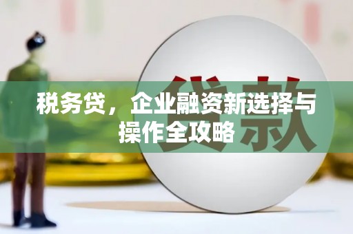 高邮税务贷，企业融资新选择与操作全攻略