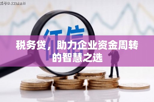 高邮税务贷，助力企业资金周转的智慧之选