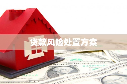 高邮贷款风险处置方案