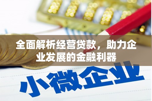高邮全面解析经营贷款，助力企业发展的金融利器