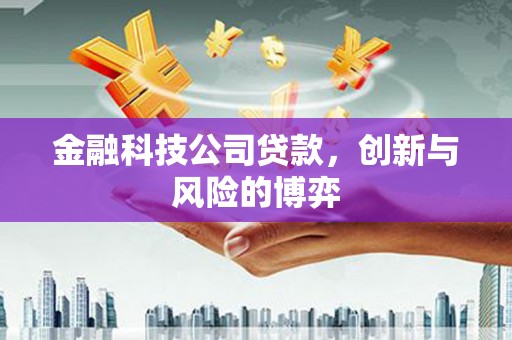 高邮金融科技公司贷款，创新与风险的博弈