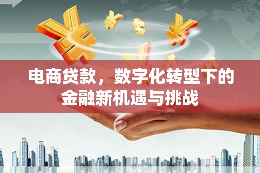 高邮电商贷款，数字化转型下的金融新机遇与挑战