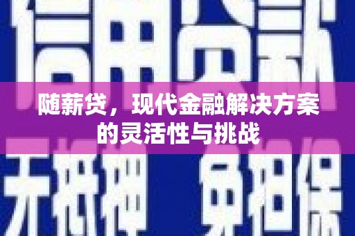 高邮随薪贷，现代金融解决方案的灵活性与挑战