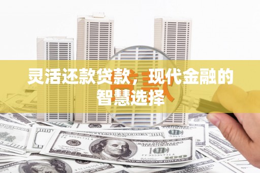高邮灵活还款贷款，现代金融的智慧选择