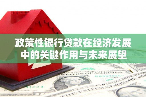 高邮政策性银行贷款在经济发展中的关键作用与未来展望