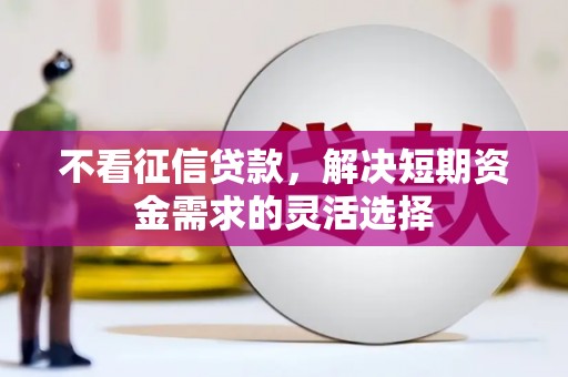 高邮不看征信贷款，解决短期资金需求的灵活选择