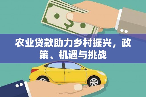 高邮农业贷款助力乡村振兴，政策、机遇与挑战
