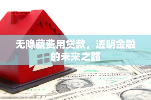 高邮无隐藏费用贷款，透明金融的未来之路