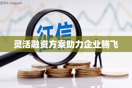 高邮灵活融资方案助力企业腾飞