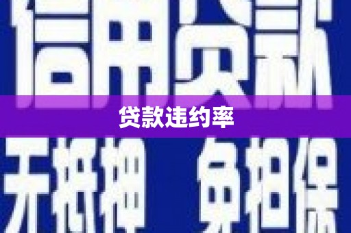 高邮贷款违约率