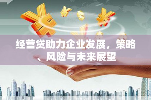 高邮经营贷助力企业发展，策略、风险与未来展望