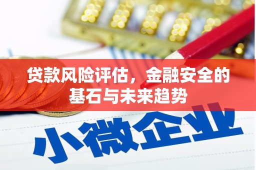 高邮贷款风险评估，金融安全的基石与未来趋势