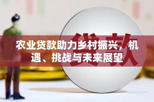 高邮农业贷款助力乡村振兴，机遇、挑战与未来展望