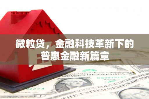 高邮微粒贷，金融科技革新下的普惠金融新篇章