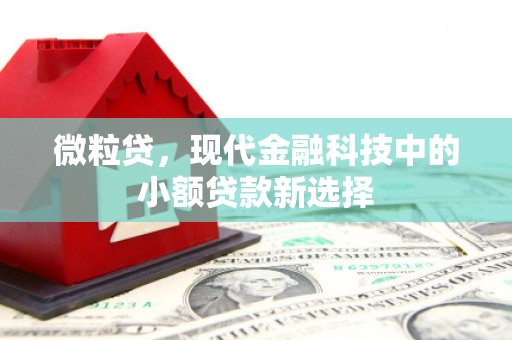 高邮微粒贷，现代金融科技中的小额贷款新选择