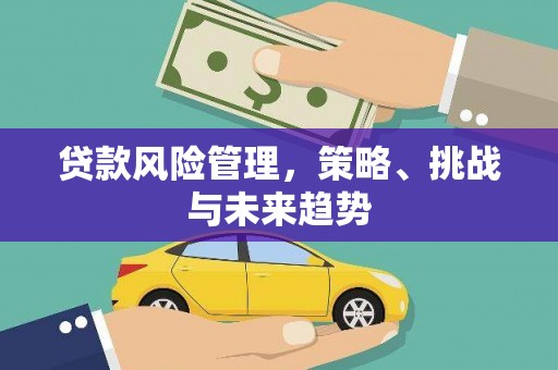 高邮贷款风险管理，策略、挑战与未来趋势