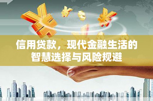高邮信用贷款，现代金融生活的智慧选择与风险规避