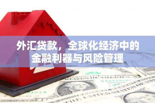 高邮外汇贷款，全球化经济中的金融利器与风险管理
