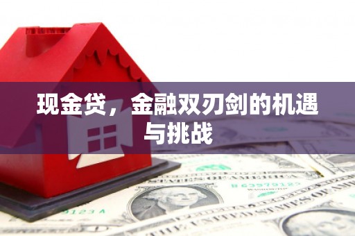 高邮现金贷，金融双刃剑的机遇与挑战