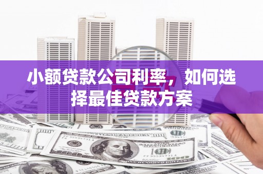 高邮小额贷款公司利率，如何选择最佳贷款方案
