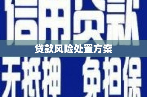 高邮贷款风险处置方案