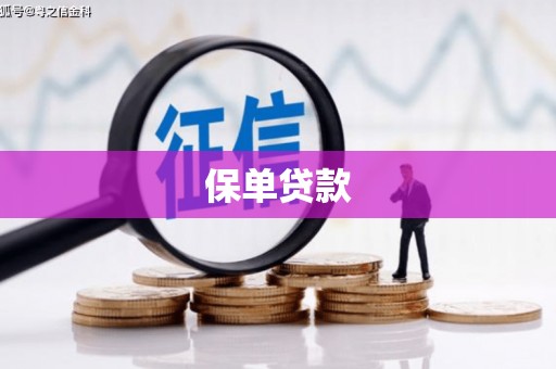 高邮保单贷款