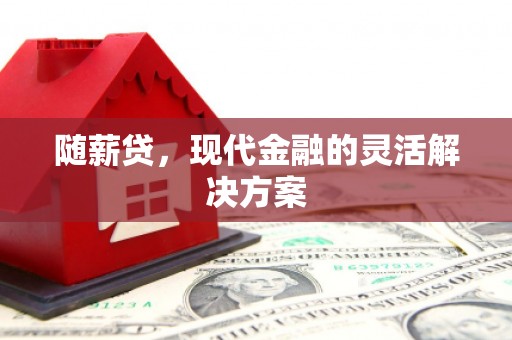 高邮随薪贷，现代金融的灵活解决方案