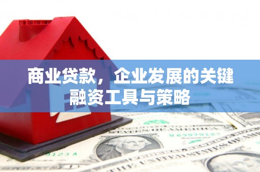 高邮商业贷款，企业发展的关键融资工具与策略