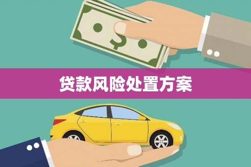高邮贷款风险处置方案