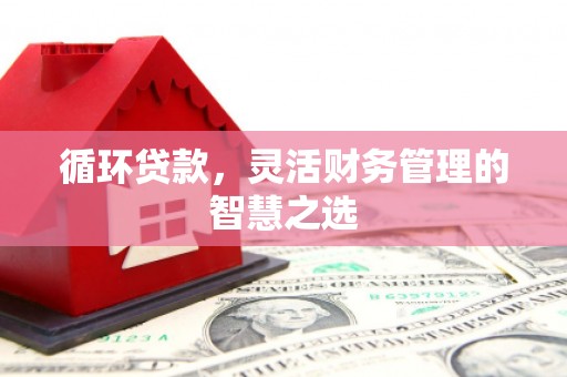 高邮循环贷款，灵活财务管理的智慧之选