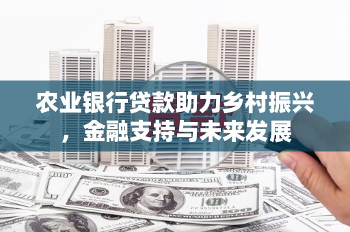 高邮农业银行贷款助力乡村振兴，金融支持与未来发展