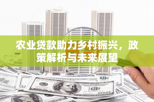 高邮农业贷款助力乡村振兴，政策解析与未来展望