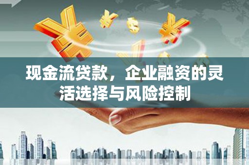 高邮现金流贷款，企业融资的灵活选择与风险控制