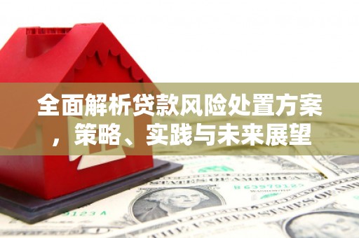 高邮全面解析贷款风险处置方案，策略、实践与未来展望
