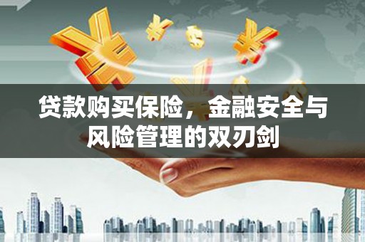 高邮贷款购买保险，金融安全与风险管理的双刃剑