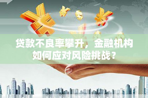 高邮贷款不良率攀升，金融机构如何应对风险挑战？
