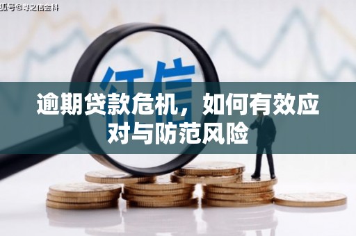 高邮逾期贷款危机，如何有效应对与防范风险