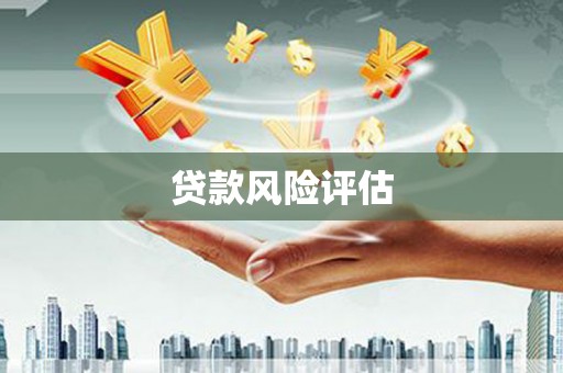 高邮贷款风险评估
