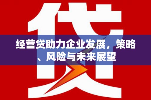 高邮经营贷助力企业发展，策略、风险与未来展望