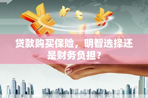 高邮贷款购买保险，明智选择还是财务负担？