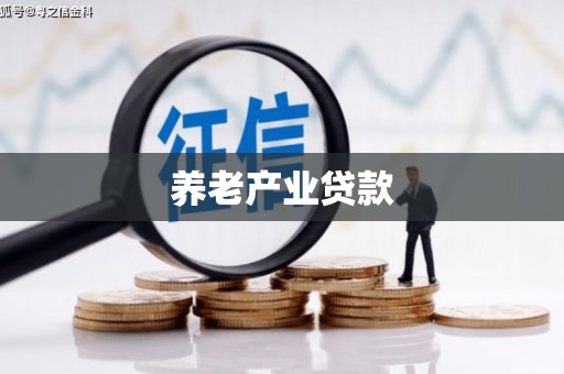 高邮养老产业贷款