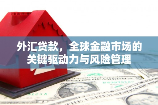 高邮外汇贷款，全球金融市场的关键驱动力与风险管理