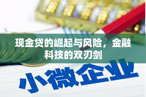 高邮现金贷的崛起与风险，金融科技的双刃剑