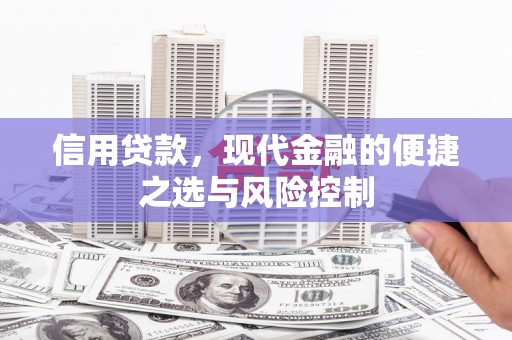 高邮信用贷款，现代金融的便捷之选与风险控制
