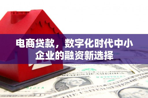 高邮电商贷款，数字化时代中小企业的融资新选择