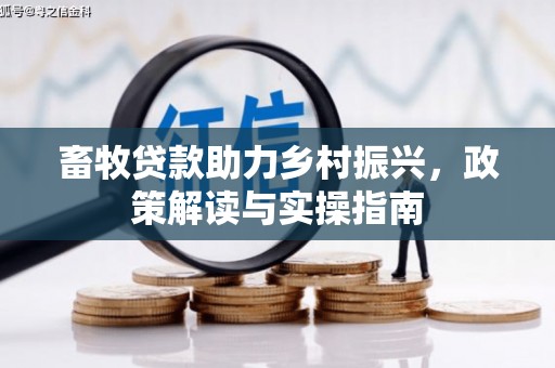 高邮畜牧贷款助力乡村振兴，政策解读与实操指南