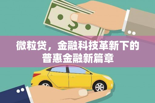 高邮微粒贷，金融科技革新下的普惠金融新篇章
