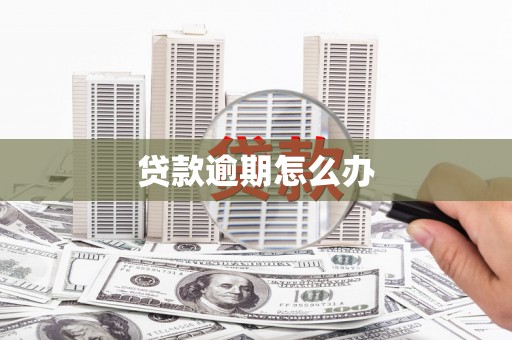 高邮贷款逾期怎么办