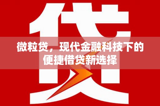 高邮微粒贷，现代金融科技下的便捷借贷新选择