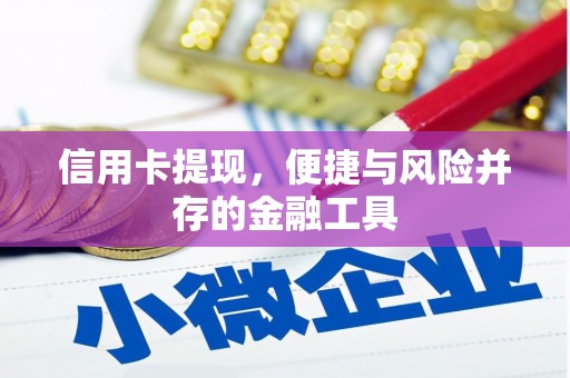 高邮信用卡提现，便捷与风险并存的金融工具